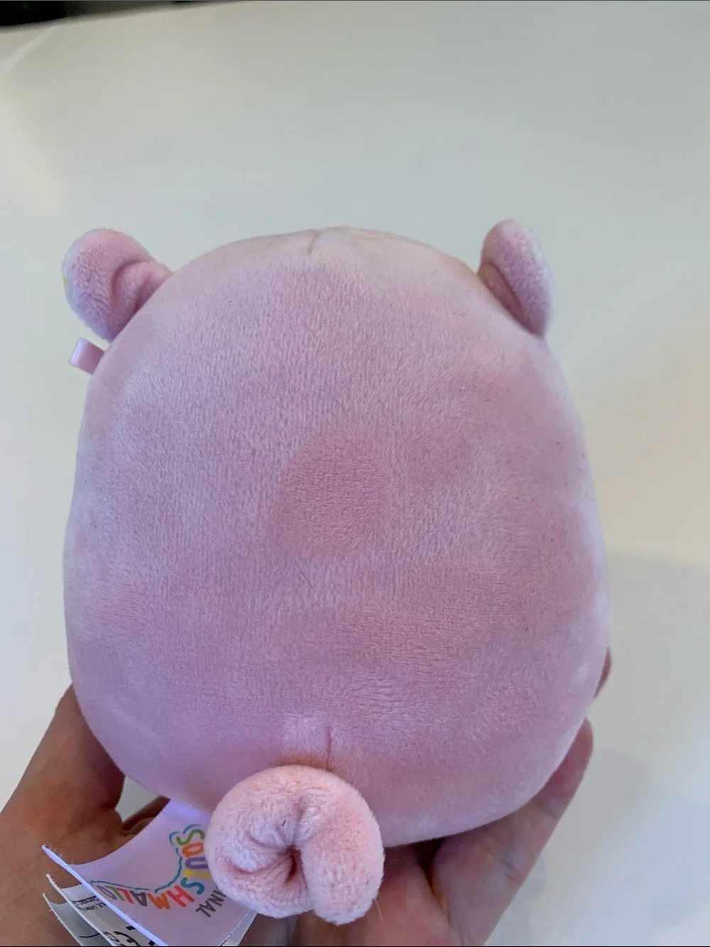 Squishmallows Peter the Pig Floral Belly Edition 5” Pink Plush Stuffed Animal
